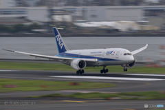 Jet airliner