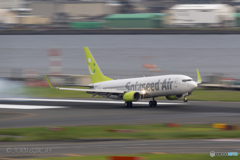 Jet airliner