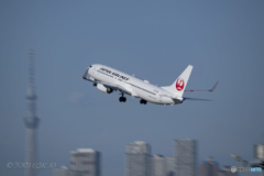 Jet airliner