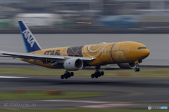 Jet airliner