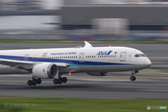 Jet airliner
