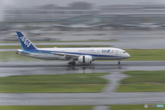 Jet airliner