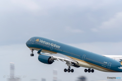 jet airliner
