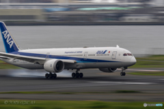 Jet airliner
