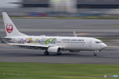 Jet airliner
