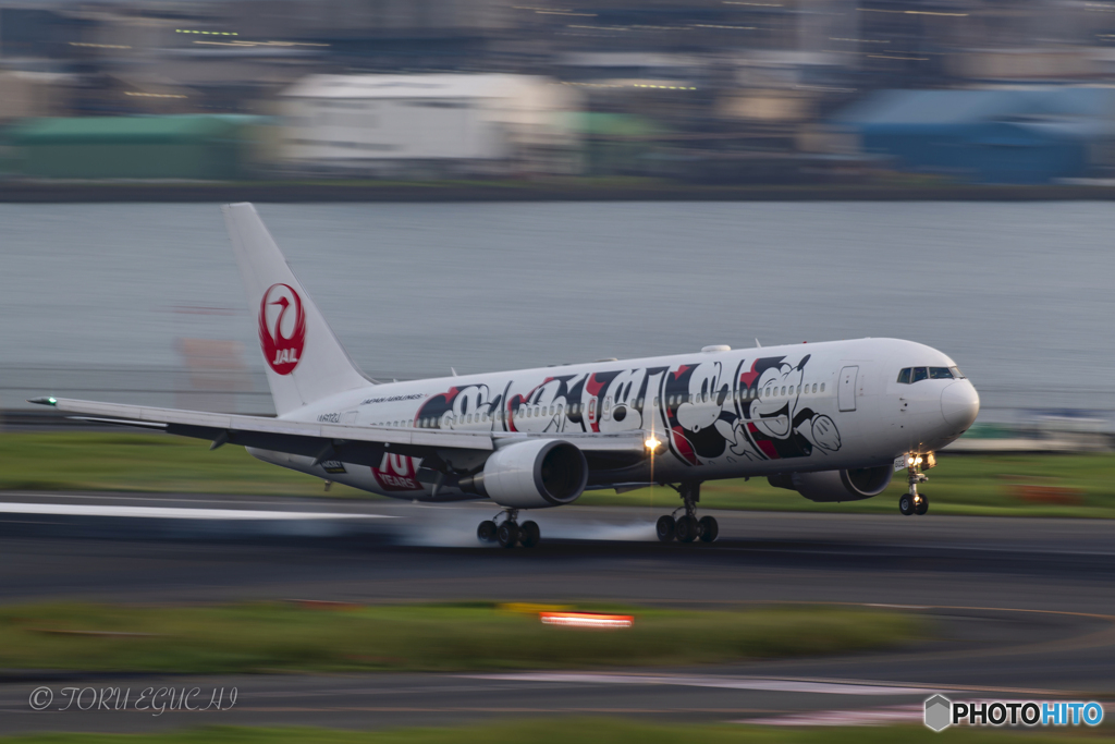 Jet airliner
