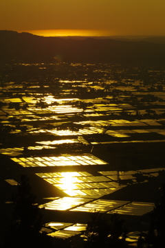 散居村夕景