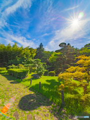 庭園と光芒