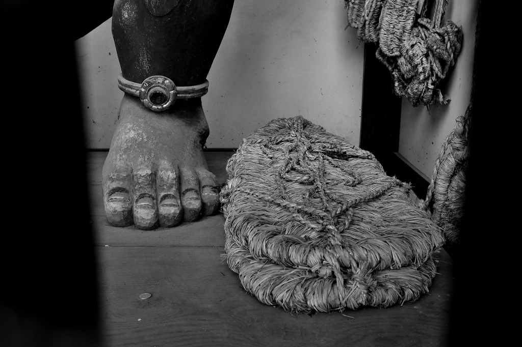 DSC_0797