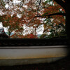 DSC_5461 -