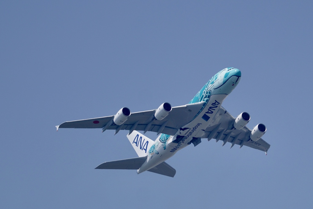 エアバスA380 フライングホヌ２号機