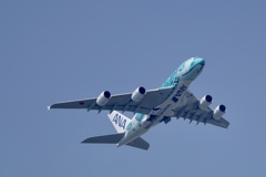 フライングホヌ２号機