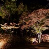紅葉と私（万歳）