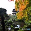 當麻寺 西南院01