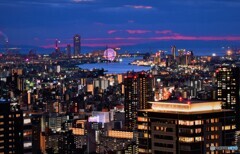 梅田スカイビル空中庭園からの夜景03