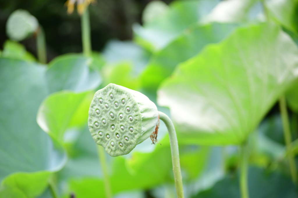 シャワー浴びてぇ～(*_*;
