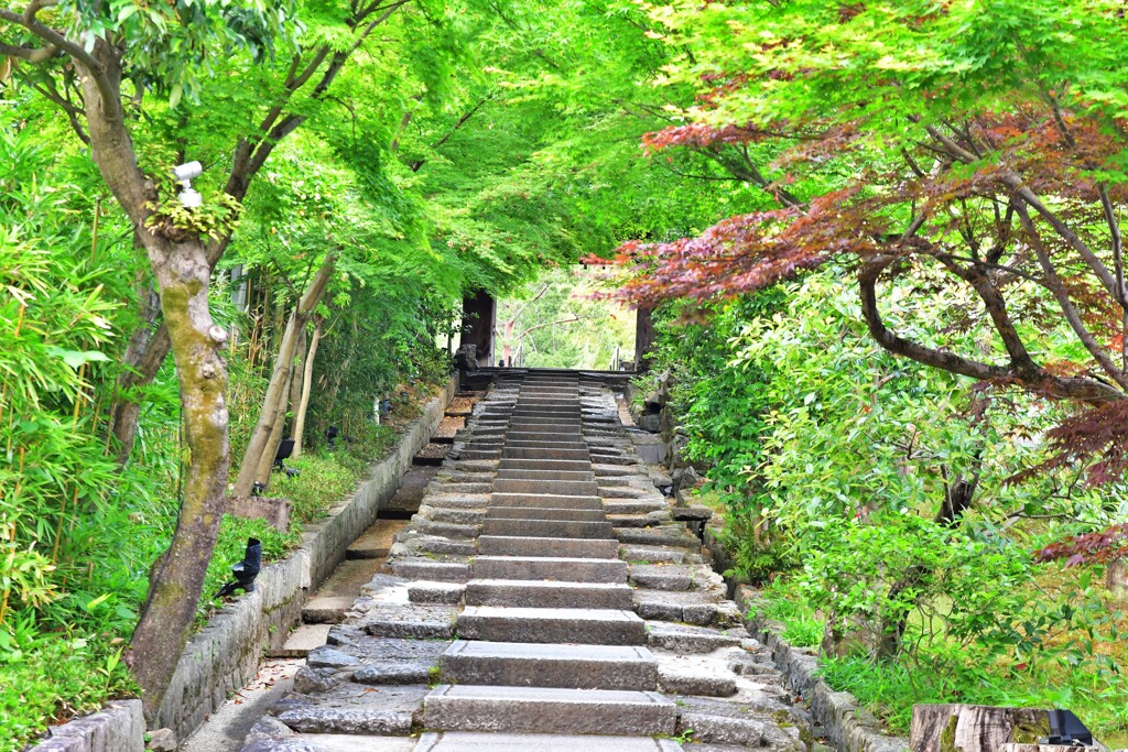 ねねの道・台所坂