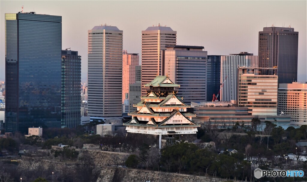 大阪城と高層ビル