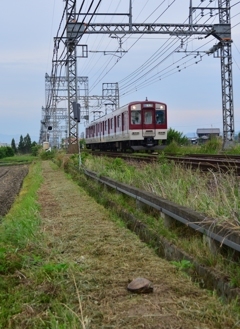 お~と!!カメが一歩リードだぁ!!!