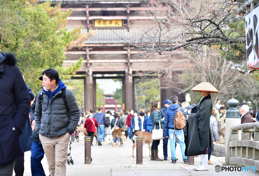 奈良公園の正月01