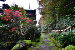 當麻寺 西南院04