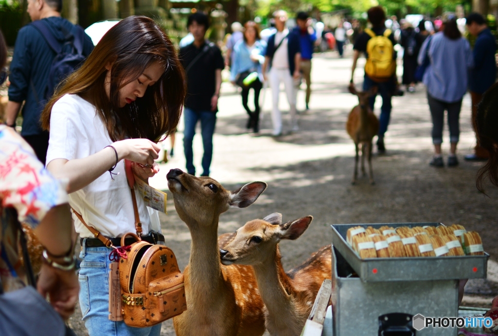 ちょっとまってよ