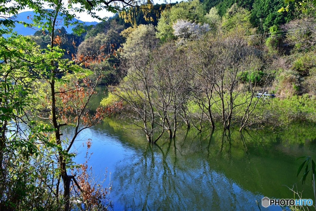 新緑の室生湖05