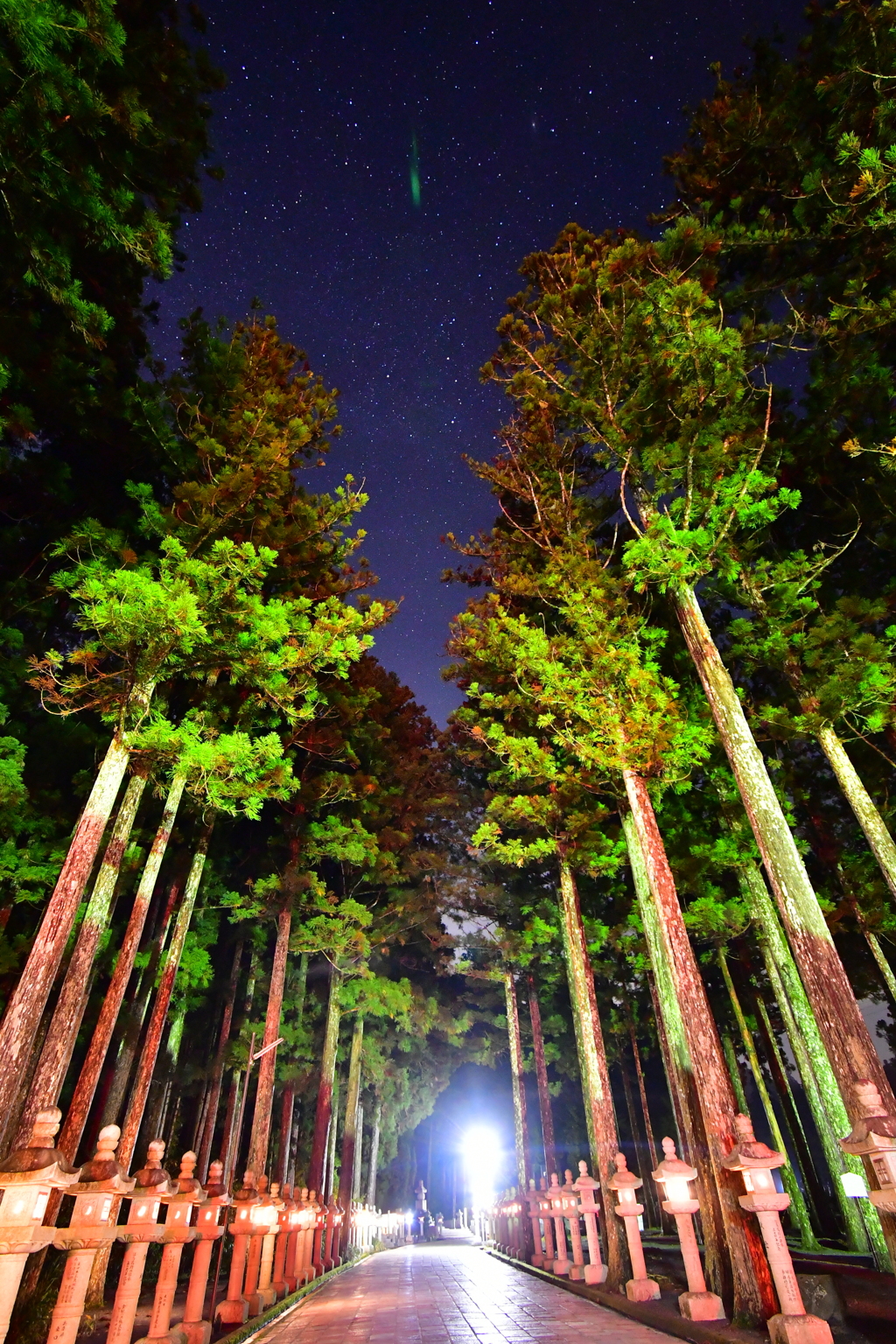 夜の高野山02