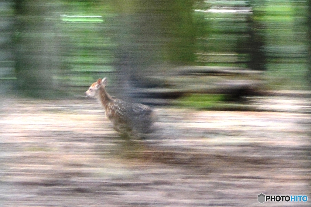 やべー出遅れた。。(4／4）