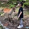 どっちが可愛い？