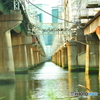 淀川の早朝09