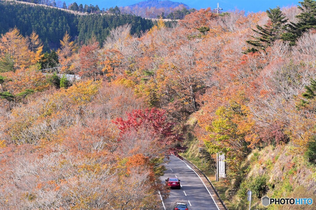 護摩山からの紅葉1