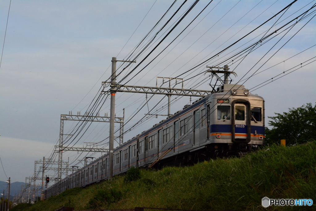南海高野線　狭山駅付近