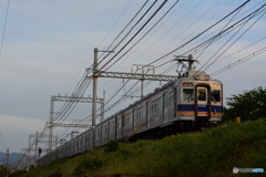 南海高野線　狭山駅付近