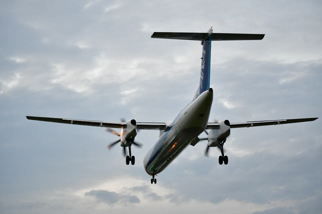 夕暮れボンちゃん