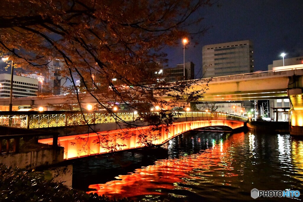 土佐堀の夜