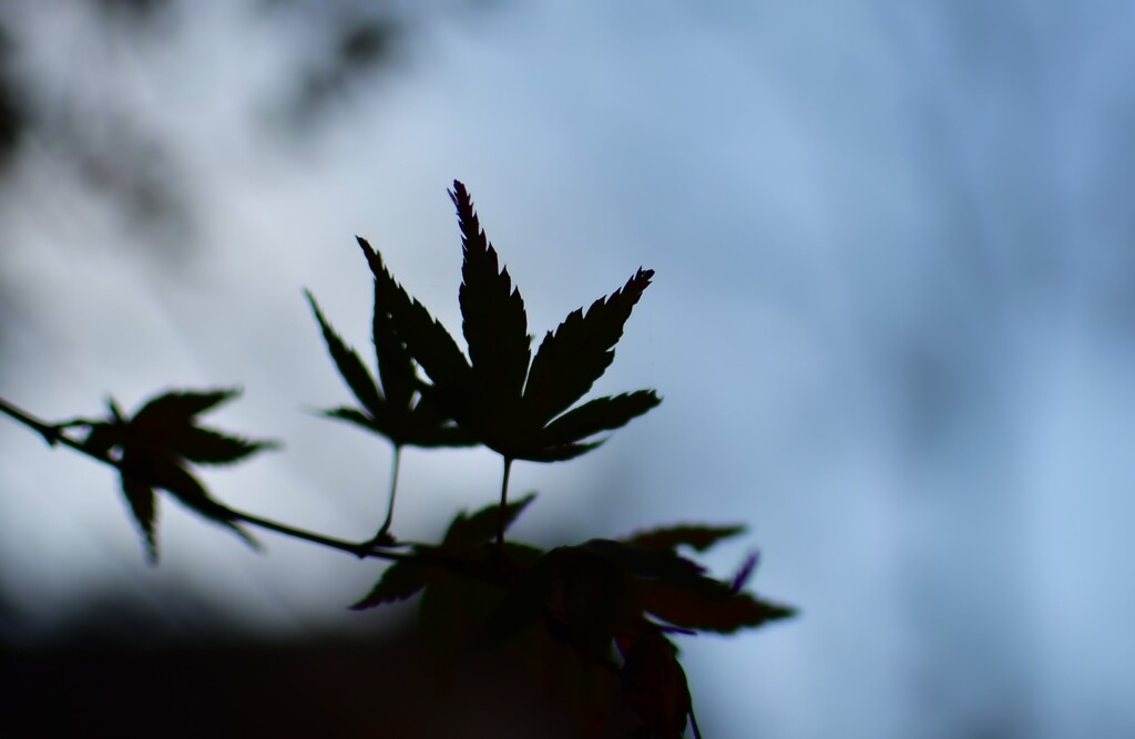 談山神社03