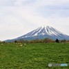 富士山と牛