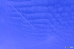 夕暮れ飛行機雲