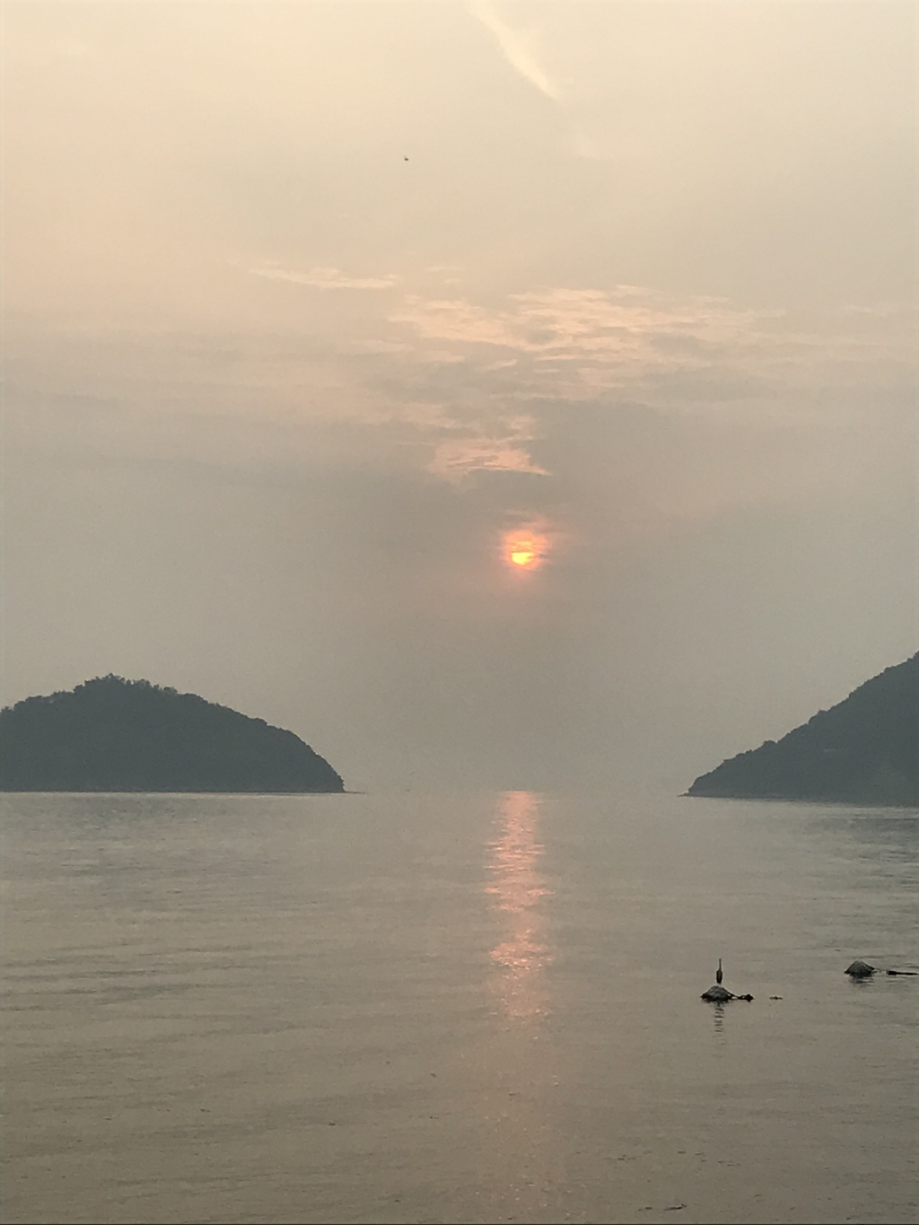 今朝の風景