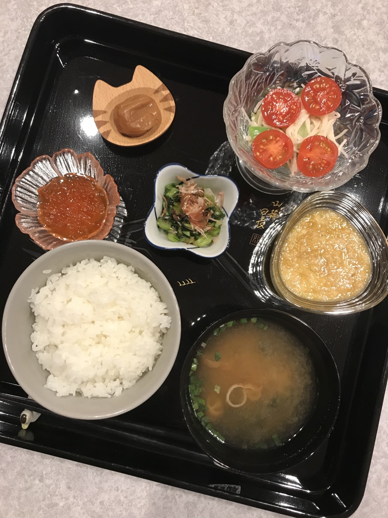 今日の夕食