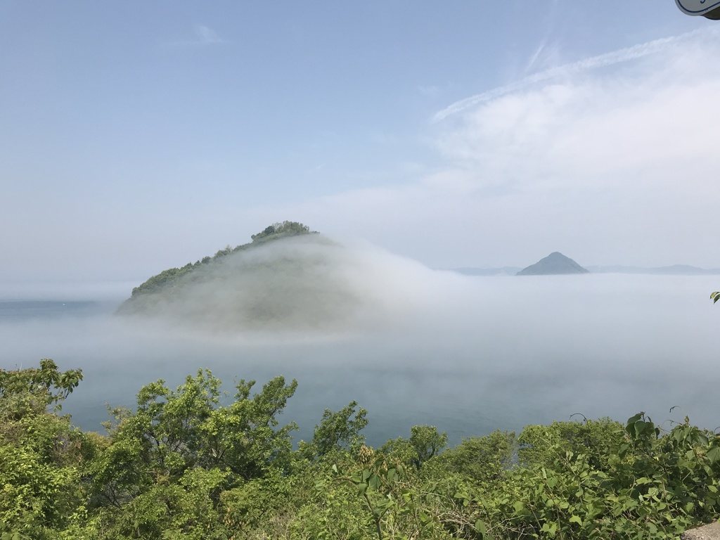 初めての現象 「霧」