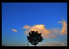 FD34A86A-5544-4C8F-8762-DD3E0ADC5A9B