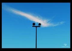 120AEBDA-579A-4F7D-8AA9-9D7C692FB703