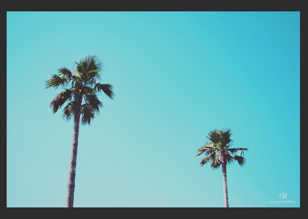 6A567773-4C33-42C1-8313-883D0F0E5D7C
