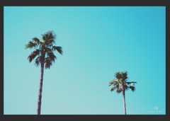 6A567773-4C33-42C1-8313-883D0F0E5D7C