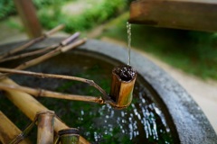 神社の手水舎