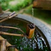 神社の手水舎