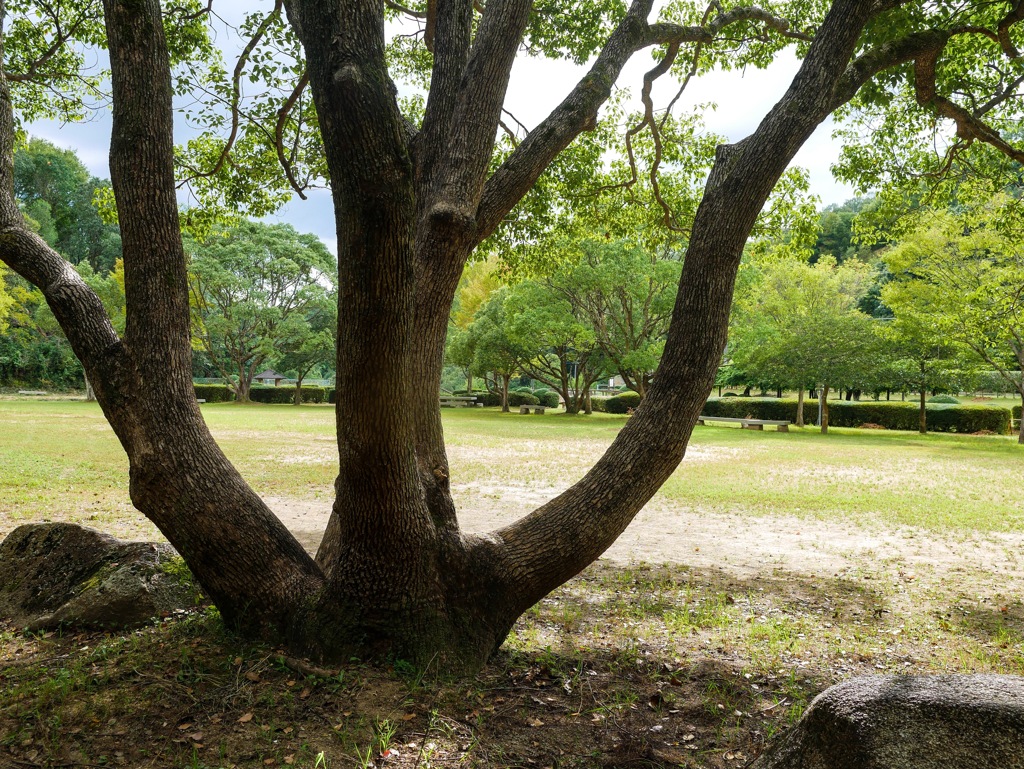 堂々公園