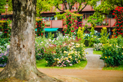 バラ公園